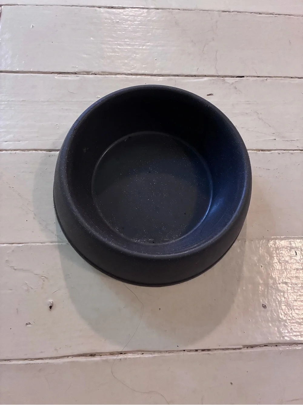 Standard 4 Cup Dog Bowl - Boots & Barkley™ Gray: BPA-Free, Rubber Base, All Ages